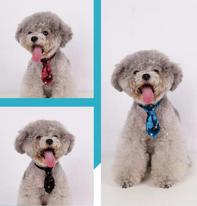 Collar Corbata Terciopelo Mascotas 25-35cm.