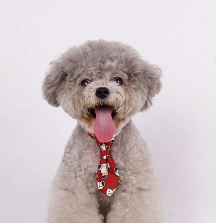 Collar Corbata para Mascotas 25-35cm.