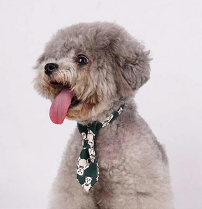 Collar Corbata para Mascotas 25-35cm.