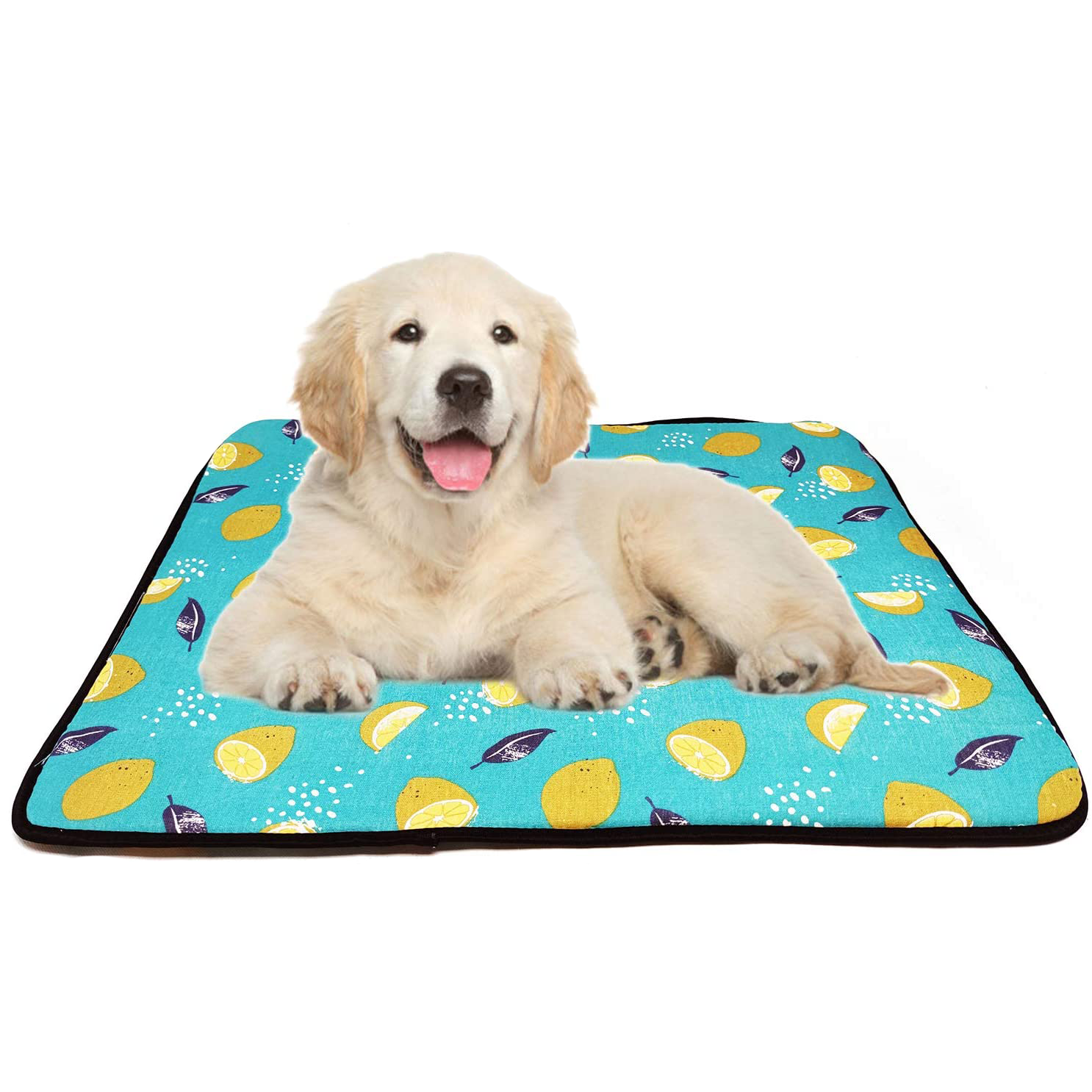 Alfombra fina para mascota