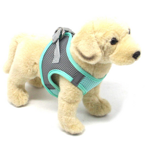 Arnés para Perros