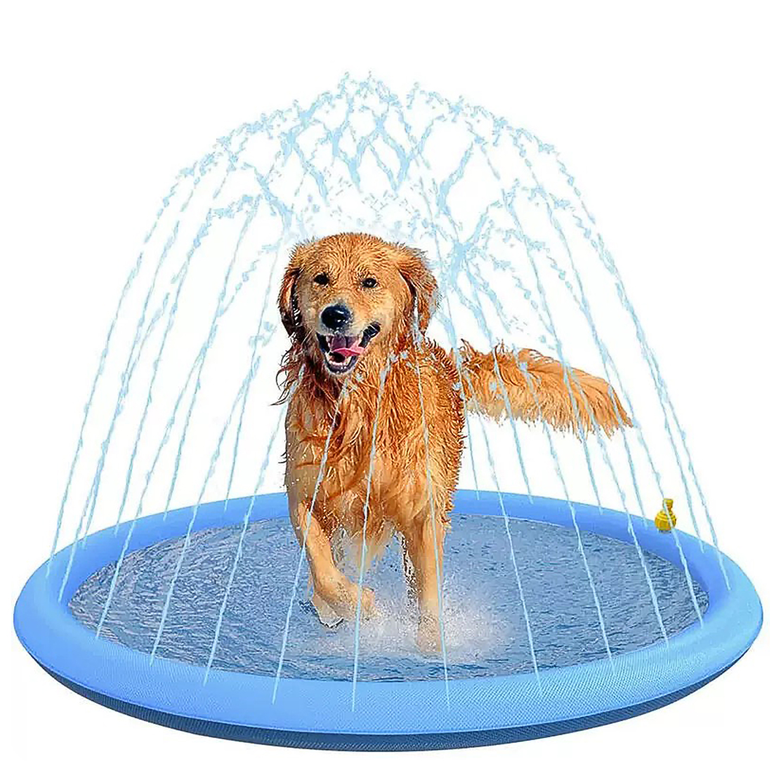 Piscina de baño con rociador de agua para mascota
