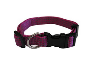 Collar Nylon Reflectante