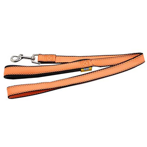 Correa Nylon Reflectante
