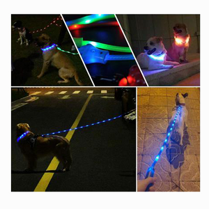 Correa Luminoso con luz led