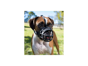 Bozal negro perro