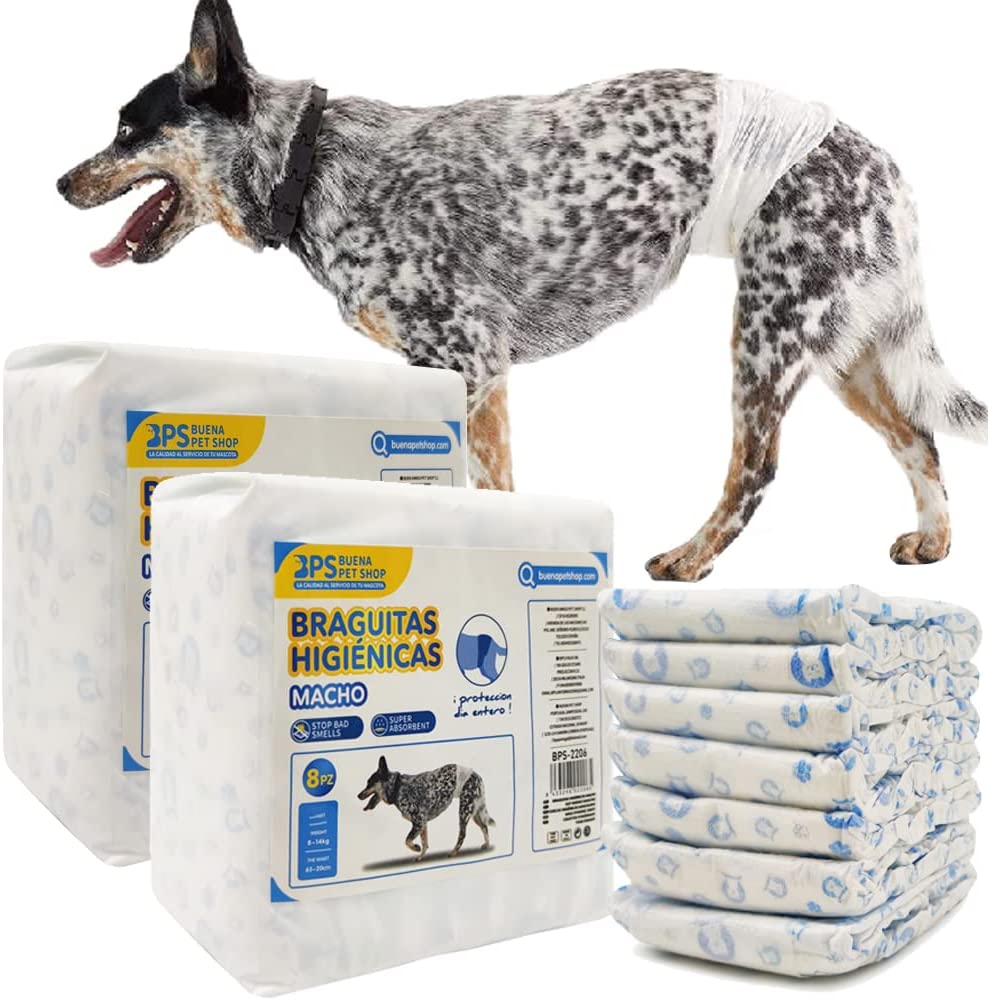 Pañal Mascotas Macho 8 piezas - Tallas para elegir