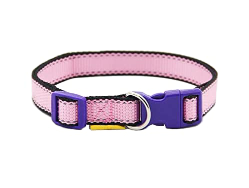 Collar Nylon Reflectante