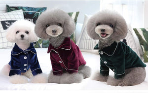 Camisa Terciopelo Perro