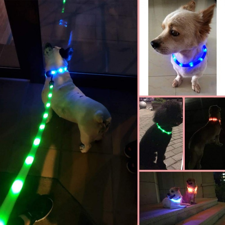 Collar Luminoso con luz led